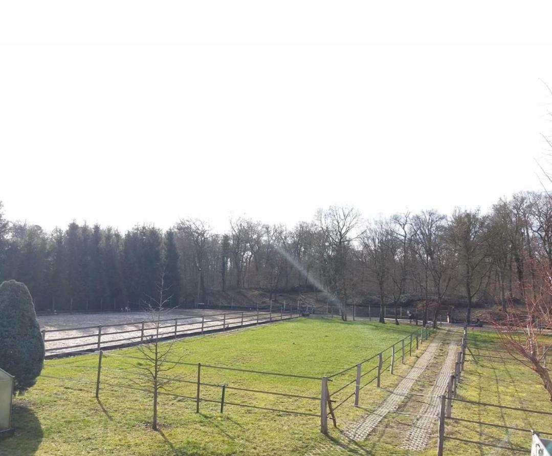 Apartament Repos Rouge-Plaisir Au Milieu Des Chevaux Kembs Zewnętrze zdjęcie