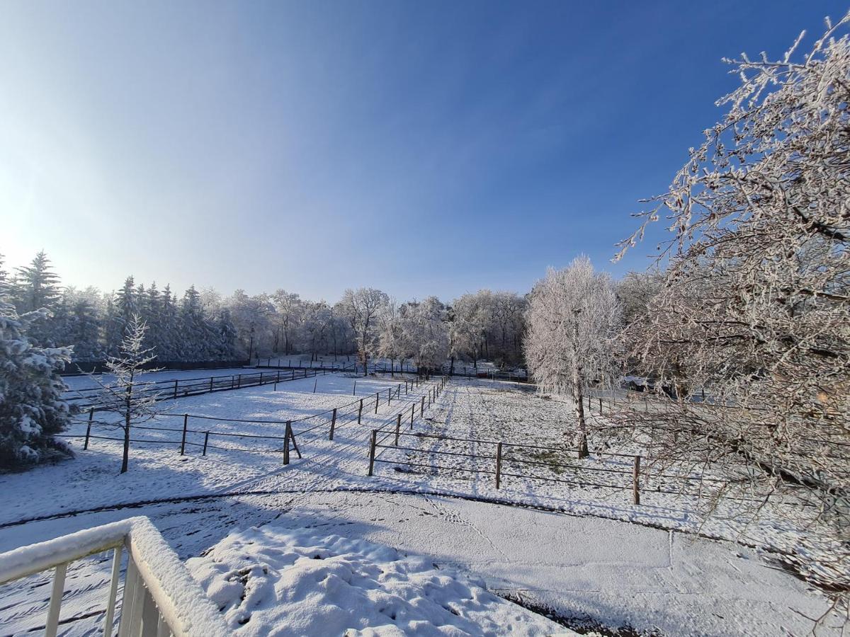 Apartament Repos Rouge-Plaisir Au Milieu Des Chevaux Kembs Zewnętrze zdjęcie