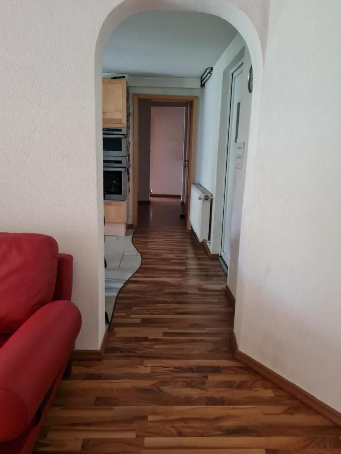Apartament Repos Rouge-Plaisir Au Milieu Des Chevaux Kembs Zewnętrze zdjęcie